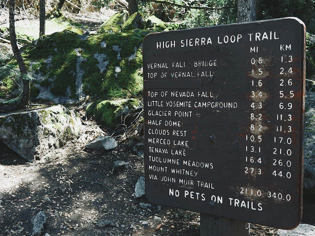 アン・カーティスのインスタグラム：「Eeeney, meeney, miney, moe.  Was half happy that clouds rest trail was closed due to snow or else mapapasubok ako sumabay kay @erwan the explorer. 🙄 Which hike would you choose? #erwannederlustCA」