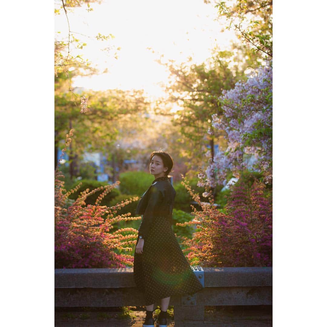 永池南津子さんのインスタグラム写真 - (永池南津子Instagram)「本日も晴天なり。元気にいきましょう。 #portrait #photography #花盛り #散歩 #晴れが好き #永池南津子」4月18日 11時51分 - natsuko_nagaike