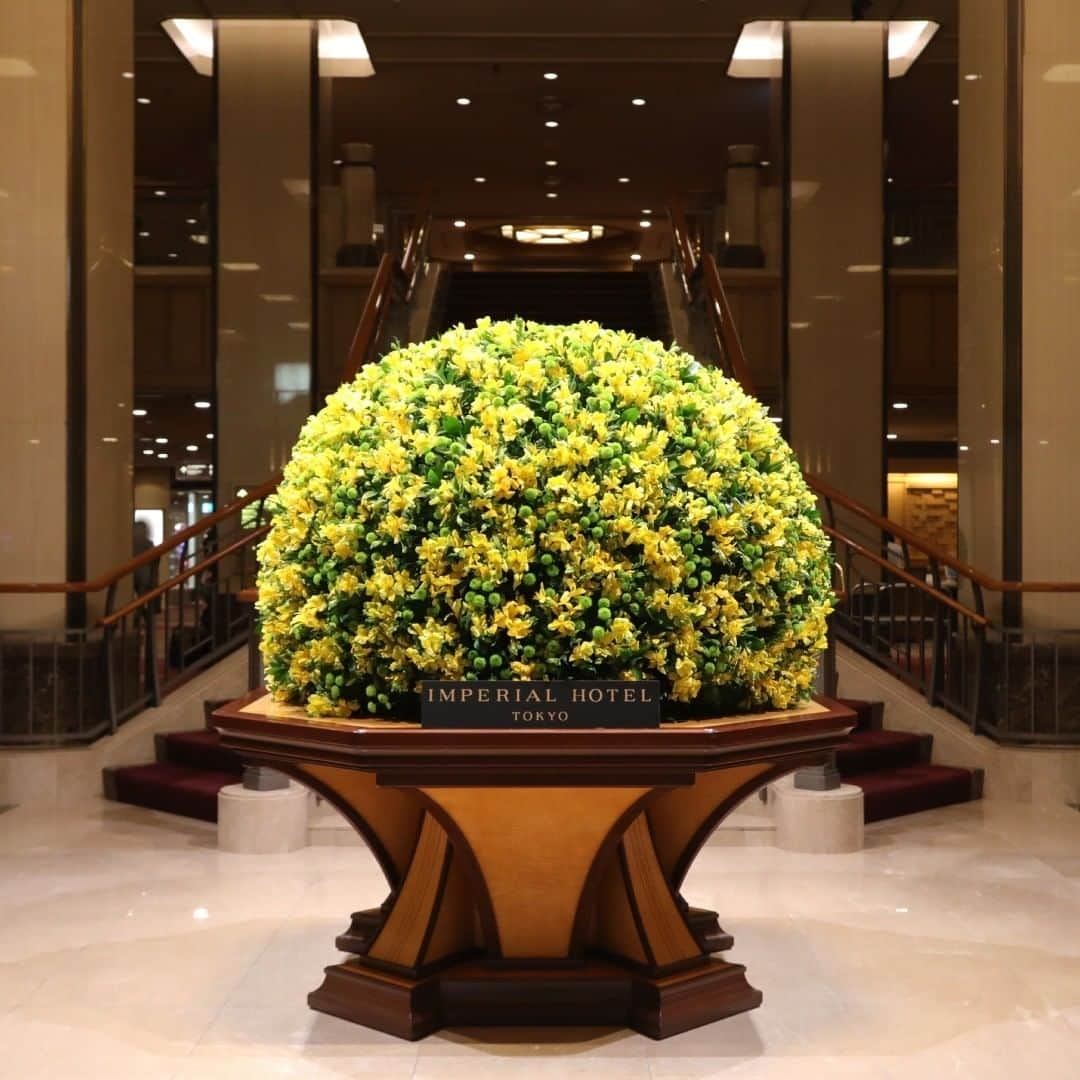 Imperialhotel_jp_帝国ホテル 公式さんのインスタグラム写真 - (Imperialhotel_jp_帝国ホテル 公式Instagram)「Let us present our flower arrangement, welcoming you at the Main Lobby of the Imperial Hotel, Tokyo. #imperialhoteljp #imperialhotel #imperialhoteltokyo #hibiya #ginza #tokyo #japan #flowerdisplay #hotellobby #visitjapan #travellermade #lhw #leadinghotelsoftheworld #LHWtraveler #uncommontravel #帝国ホテル #帝国ホテル東京 #日比谷 #銀座 #東京 #ロビー #ロビー装花 #アルストロメリア #スプレーマム #帝國飯店東京 #帝國飯店 #임페리얼호텔도쿄 #임페리얼호텔 #도쿄호텔 #긴자」4月18日 12時04分 - imperialhotel_jp_official