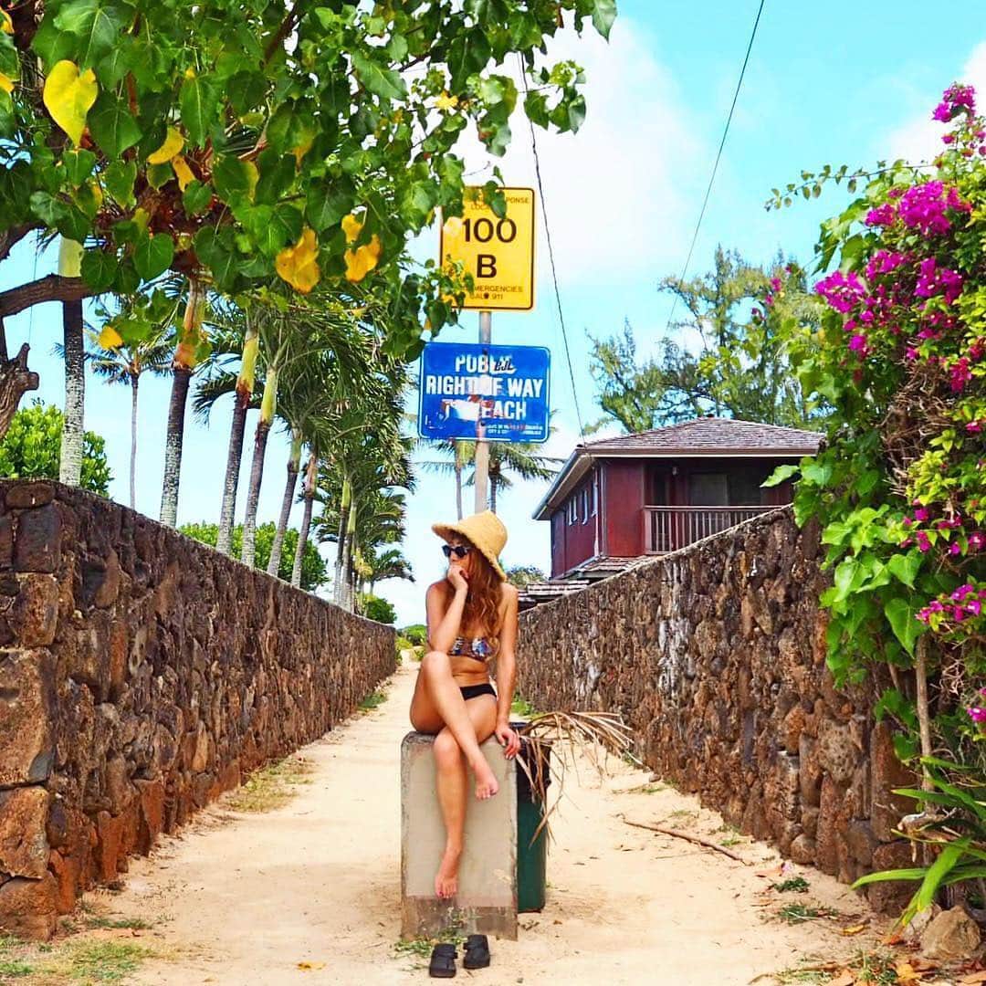 のインスタグラム：「こんにちは😊 ハワイ・オアフ島のお写真は 「#タビジョ」とあわせて 「#tabijyomap_hawaii」でお待ちしてます！ 本日はこちら💕 ＊＊＊＊＊＊ 📸@shiho.ga8さん 🚩ハワイ・オアフ島「ワイマナロビーチ」 🎙ご本人コメント 🌿🌺🌿🌺🌿 ・ 今日は大好きなワイマナロビーチへ♡ 風も穏やかで最高なお天気っ🙈☀️ やっと雨女から脱出しました🙋🏾‍♀️笑 ・ ワイマナロビーチにも海へと続く小径が 何本かあって大好きな撮影スポットなの♡ この後ストーリーでも ワイマナロビーチを載せるので ぜひ見てみてねーん😉🤙🏾♥️ ＊＊＊＊＊＊ 天気が回復してよかったですね！この小径もステキです✨いつも素敵なお写真ありがとうございます💝 ＊＊＊＊＊＊ [今週のタビジョツアー人気ランキング💁‍♀️］ 3位 <人気じわじわ上昇中！今週3位！> 「タビジョモロッコツアー9日間ツアー」19.98万円～ 都心からアクセス便利な羽田発着✈️ 青い街シャウエンと3大世界遺産を巡る😆 各都市フリータイムあり！ 2位 <2週連続2位！> 「タビジョベトナム周遊6日間ツアー」7.48万円～ →ベトナム(ホーチミン・ダナン・ホイアン)のいいとこどり女子旅ツアー💁‍♀️ ホイアン3大名物料理の夕食など嬉しい食事7回付✨ 1位 <2週連続1位！> 「タビジョはじめて奄美大島3/4日間ツアー」2.58万円～ →滞在中レンタカー乗り放題🚗 青い海と青い空に囲まれたリゾートHOTEL滞在🏨 ＊＊＊＊＊＊ #タビジョ #タビジョと繋がりたい #tabijyomap_hawaii #tabijyo_beach」