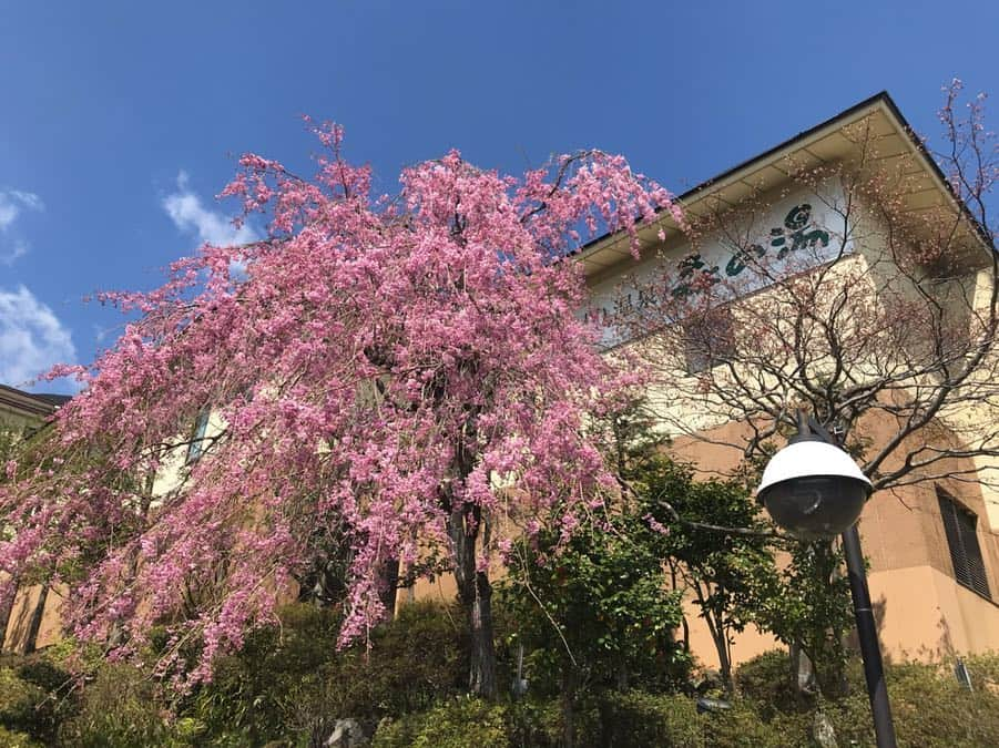 箱根小涌園 ユネッサンのインスタグラム