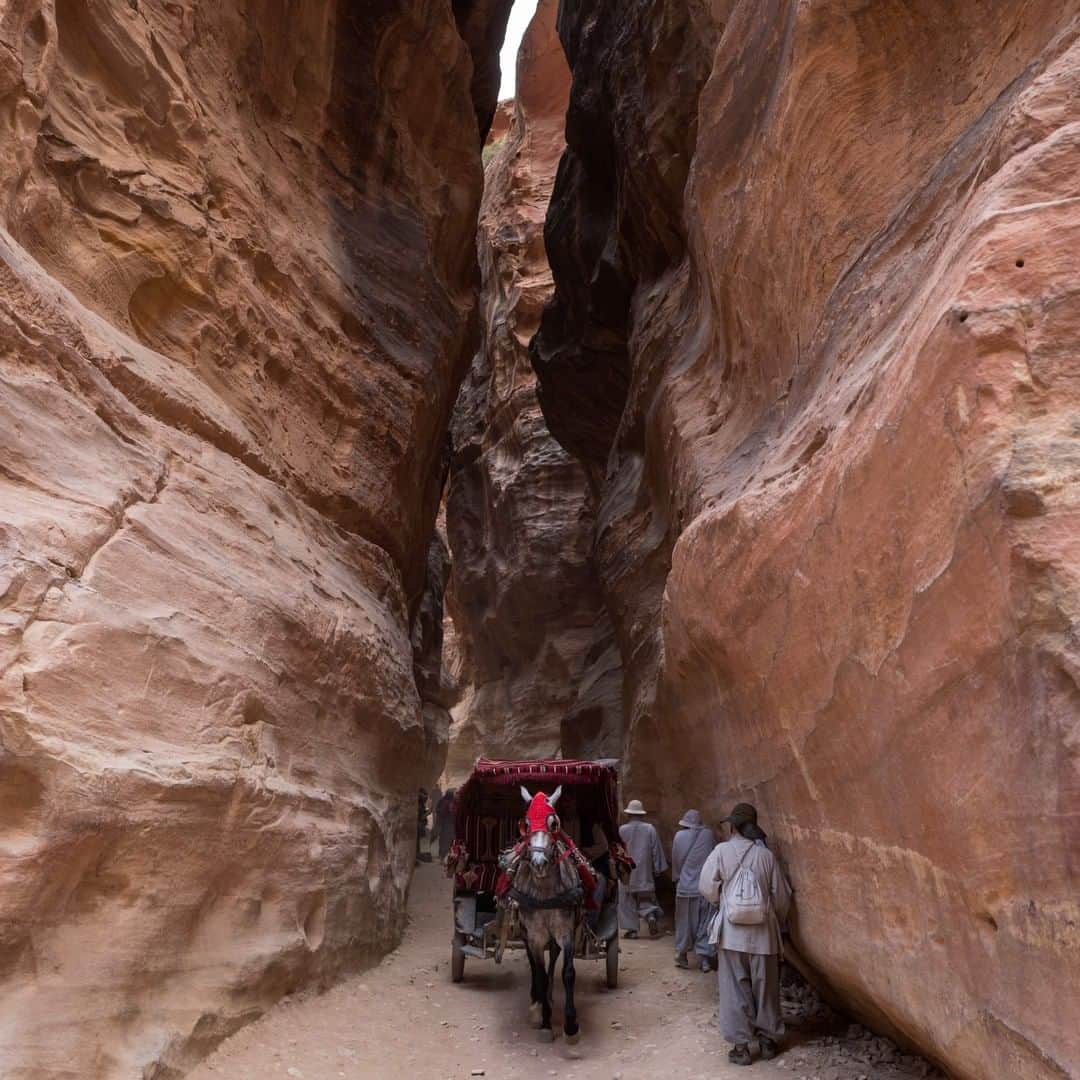 National Geographic Travelさんのインスタグラム写真 - (National Geographic TravelInstagram)「Photo by Muhammed Muheisen @mmuheisen | Tourists make their way through the Siq, narrow gorge, the main entrance to the ancient city of Petra in Jordan. For more photos and videos from different parts of the world, follow me @mmuheisen and @mmuheisenpublic #muhammedmuheisen」4月18日 13時02分 - natgeotravel