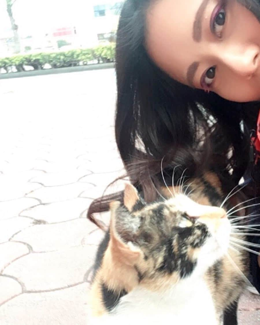 佐々木みえさんのインスタグラム写真 - (佐々木みえInstagram)「カメラ目線の猫🐈 可愛い💕 髪が当たっちゃったから猫さん片目閉じてます。 猫との自撮り難しい、、地べたにはって撮る。。 #猫 #cat #ねこ #ネコ #catstagram #cats #neko #ねこ部 #茶トラ白 #猫部 #茶白 #にゃんこ #ilovecat #고양이 #にゃんすたぐらむ #animal #にゃんだふるらいふ」4月18日 13時59分 - ruby.sasamin