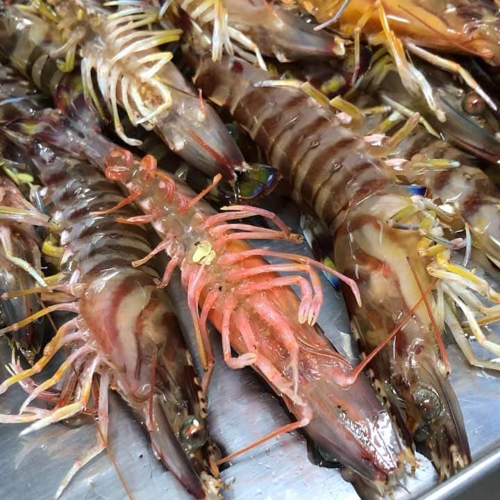 寿司居酒屋 番屋のグルメインスタ