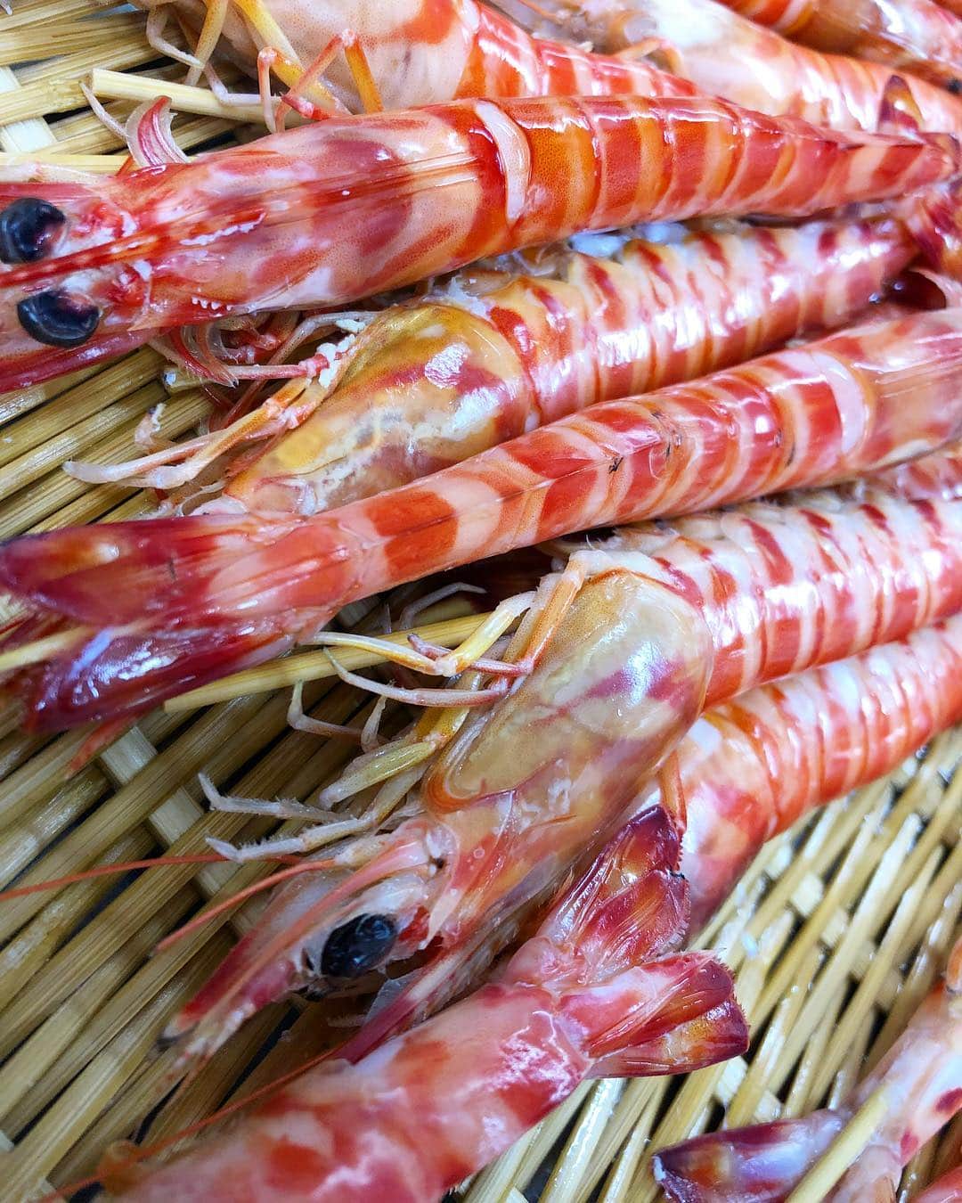 寿司居酒屋 番屋のグルメインスタ