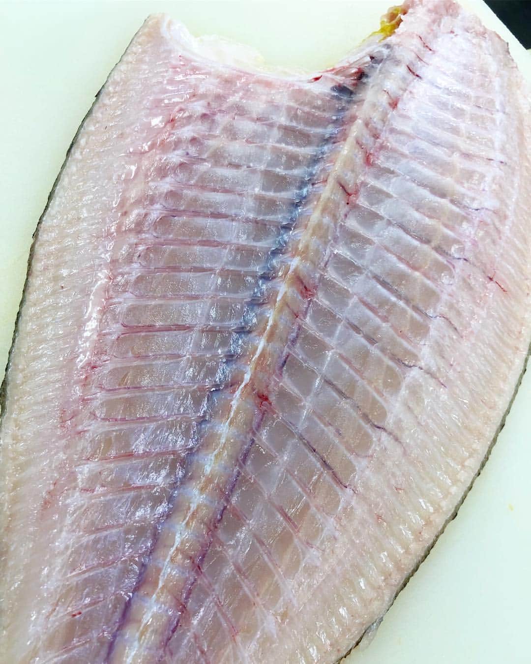 寿司居酒屋 番屋のグルメインスタ