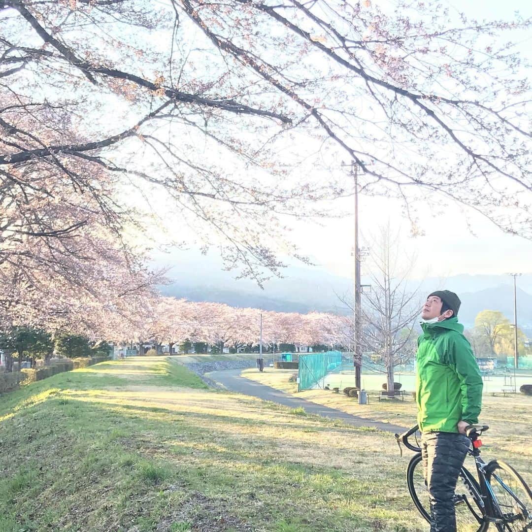 スネオヘアーさんのインスタグラム写真 - (スネオヘアーInstagram)「#スネオヘアー  #見事な #桜の木の下で  #桜 #スネ大登山部  #トレーニング #サイクリング」4月18日 14時22分 - suneohairofficial