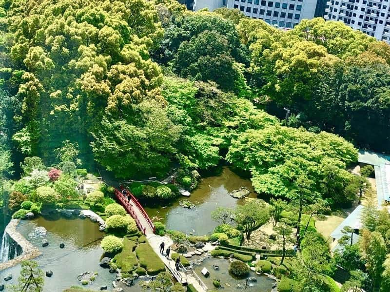 ホテル ニューオータニさんのインスタグラム写真 - (ホテル ニューオータニInstagram)「Cherry blossoms have almost fallen and the trees are putting on new leaves. By watching the Japanese garden from a guest room window, you can find features of each season.  桜から、瑞々しい新緑へ。客室の窓より日本庭園を眺めながら、季節の移ろいを感じるひととき。  #新緑 #客室  #窓 #景色 #日本庭園 #四季折々 #ホテルニューオータニ #freshgreens #freshverdure #guestroom #window #japanesegarden #japantravel @hotelnewotanitokyo #hotelnewotanitokyo #newotanitokyo」4月18日 14時24分 - hotelnewotanitokyo