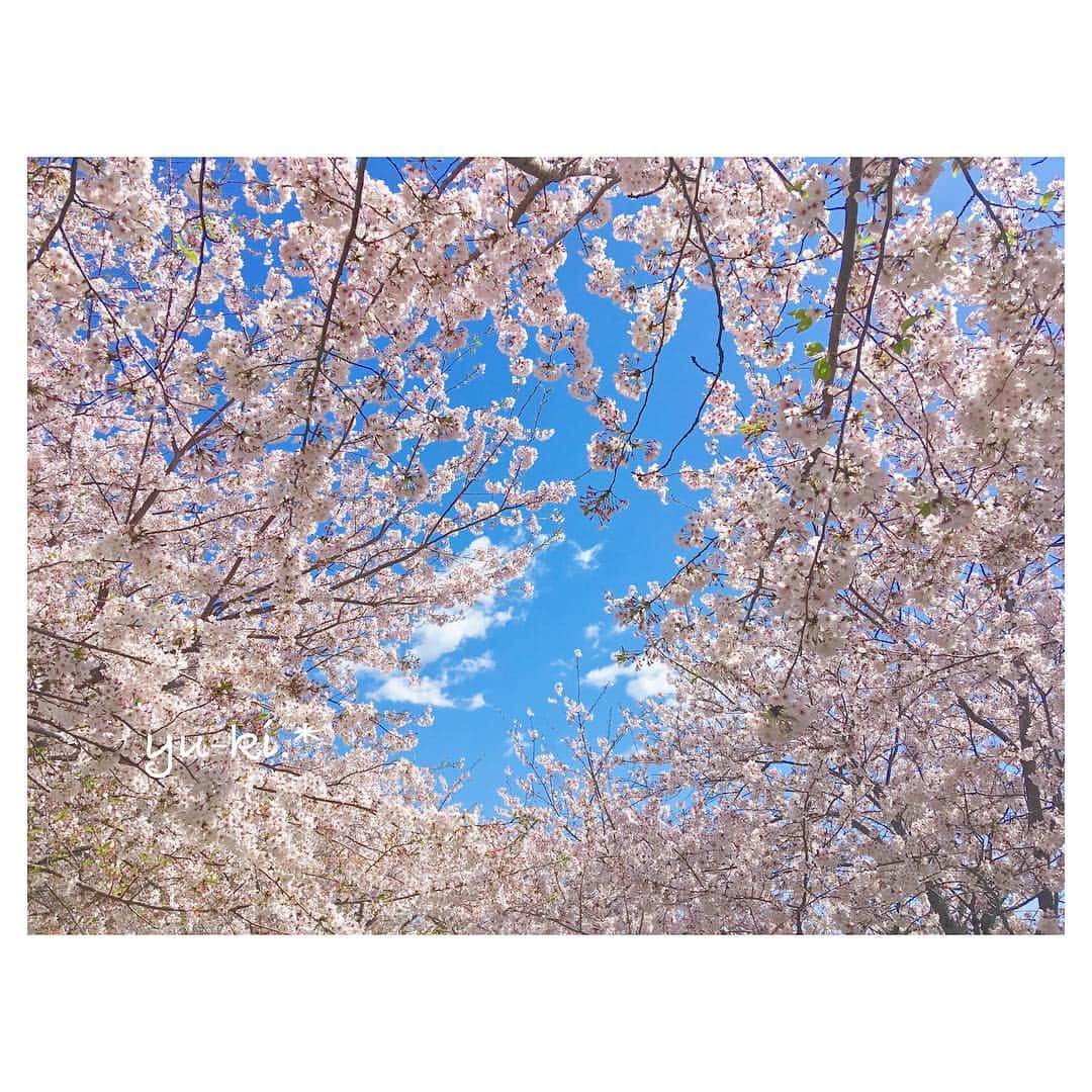 二見夕貴さんのインスタグラム写真 - (二見夕貴Instagram)「. 今度こそ春が来たけど 桜は終わっちゃったね〜😢🌸 . 写真しか撮ってないけど この写真見たら お花見した気分になれる😊 . . 大きなレジャーシート敷いて みんなでのんびり上を見上げてる . という妄想が広がった♡♡笑 . . みんなも妄想にどうぞ🌸. * . #cherryblossom #flowerframe #flowers #bluesky #sunnyday #japan #cameragirl #photobyiPhone  #桜 #桜フレーム #フレーム #青空 #晴れの日 #お花見気分 #カメラ女子 #空まにあ」4月18日 14時50分 - yyyuki___