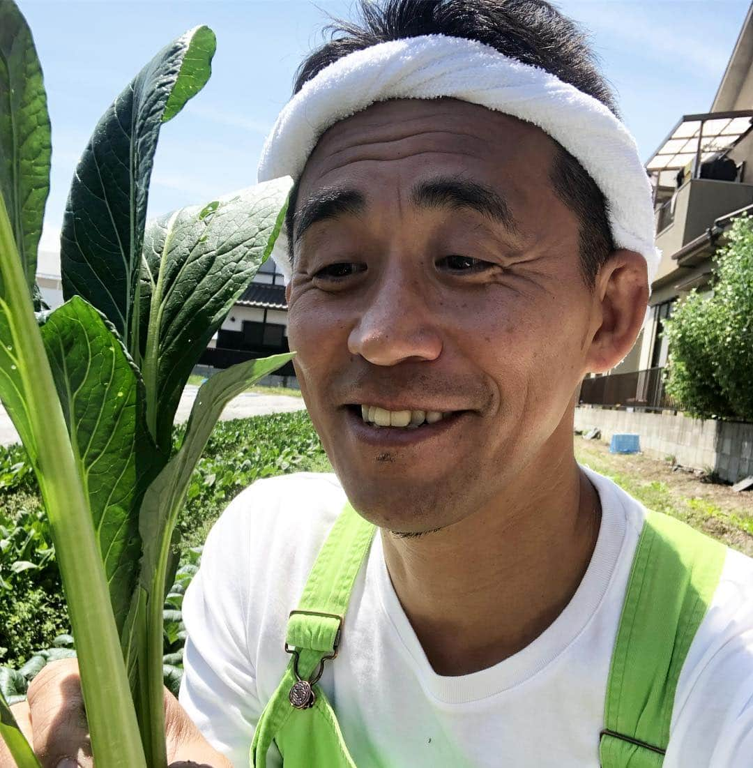 石田靖さんのインスタグラム写真 - (石田靖Instagram)「関西テレビ⑧『よ〜いドン❗️』 産地の奥さんごちそう様で大阪の泉州へ〜今回の食材は小松菜 地元の小松菜料理、ご紹介🙏🙏🙏 おおきにごちそうさんです #関西テレビ #よーいドン #産地の奥さんごちそう様 #産ごち #泉州 #岸和田 #小松菜 #小松菜料理 #1枚目の写真 #小松菜ピザ #小松菜ジュース #2枚目の写真 #小松菜とサバ缶のパスタ  #3枚目の写真 #小松菜の麻婆豆腐 #おおきにごちそうさんです #愛彩ランド  #一期一笑  #石田靖」4月18日 15時01分 - yasulog