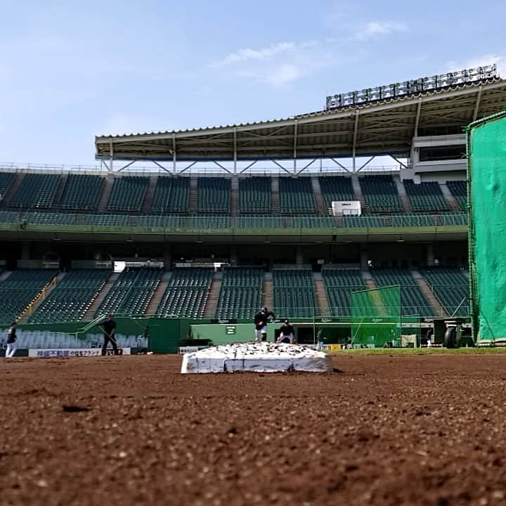 オリックス・バファローズのインスタグラム