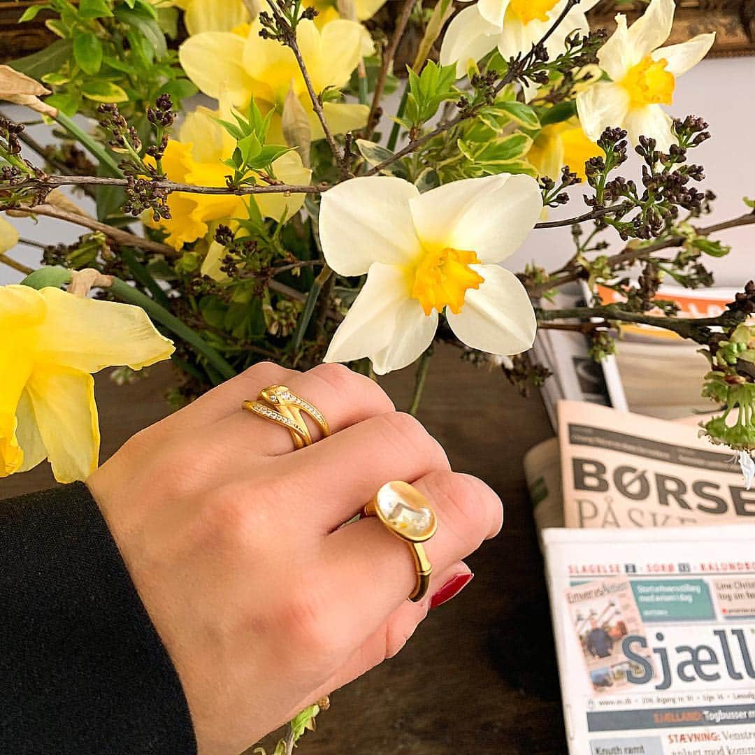 ジュリーサンドラゥさんのインスタグラム写真 - (ジュリーサンドラゥInstagram)「Happy Easter 🐣 A beautiful caption of our Boa Ring and Bamboo Wisdom Ring at @kragerupgods 🏰 . . . Tap the picture for more information🌿 #jewelry #kragerupgods #boa #bamboo #ring #rings #easter #flowers #juliesandlau #juliesandlaujewelry #gold #zirconias」4月18日 17時44分 - juliesandlau