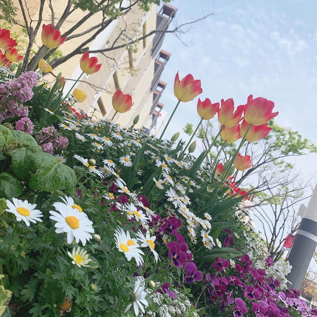 長谷川萌美さんのインスタグラム写真 - (長谷川萌美Instagram)「. . 関西にて❣️ . リリース「遠いところへ行くのでしょう/ラブストーリーは始まらない」 . 沢山の人に聴いて欲しいです👭⭐︎🎵 .  #ビタスイ #リリース #遠ラブ #ラジオ #生放送 #収録 #情報解禁 #お待ちください #配信 #showroom #新聞 #なども」4月18日 17時56分 - moemi_hasegawa