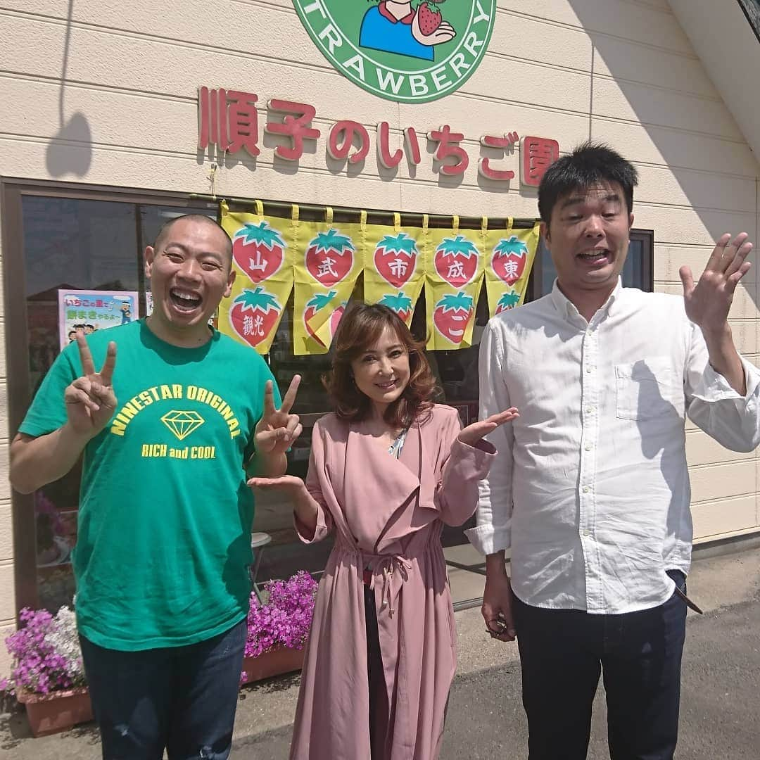 松本康太さんのインスタグラム写真 - (松本康太Instagram)「『いちご狩り』千葉県にある「順子のいちご園」さん♪めっちゃ美味しい！本当にびっくりなのです♪ここのいちご園に毎年通う人がいるのも納得(^-^)♪4種類ほどあるいちごが食べ放題♪今年は5月10日までなのです♪土と肥料にこだわってるから、この美味しさが出せるらしいです＼(^o^)／！ #いちご #イチゴ #苺 #気絶 する#旨さ #いちご狩り #千葉県 #順子のいちご園 #딸기 #딸기따기 #Strawberry #japan #レギュラー松本 #あるある探検隊 #レギュラー #土屋かおり さん」4月18日 17時59分 - aruarutankentai.matsumoto