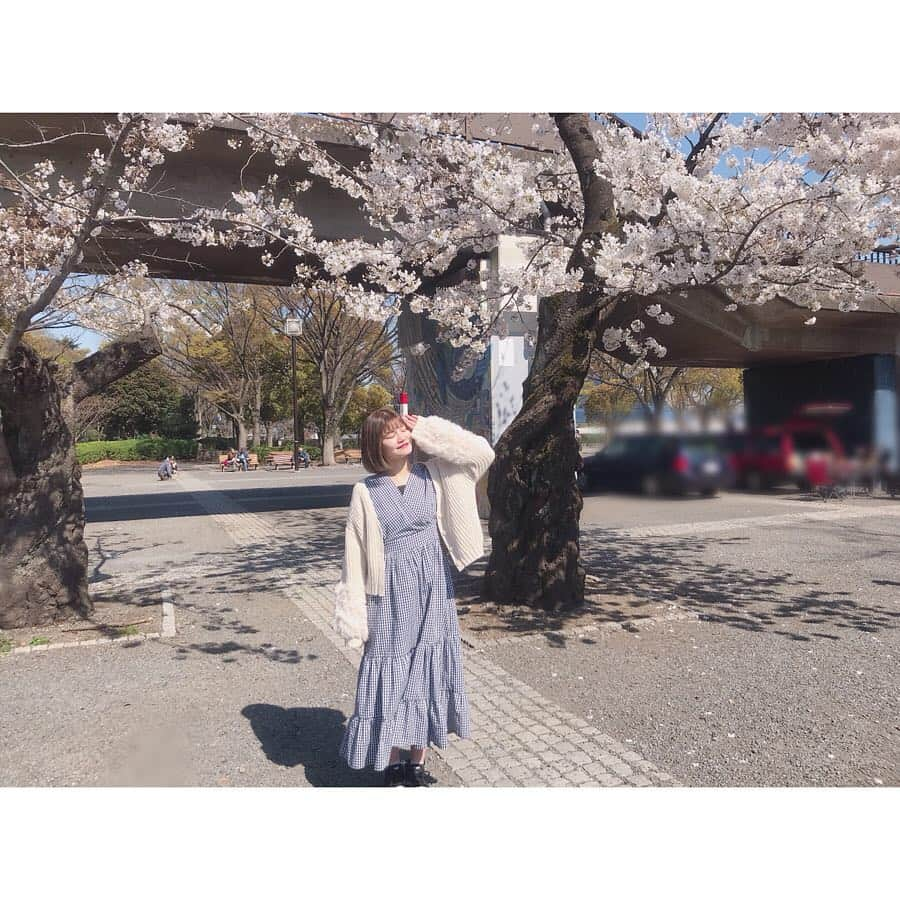 桜井りおなさんのインスタグラム写真 - (桜井りおなInstagram)「けっきょく花見できず、でも桜はみれたよ☺︎ ㅤㅤㅤㅤ ㅤㅤㅤㅤ ㅤㅤㅤㅤ ㅤㅤㅤㅤ #spring #桜 #花見 #よよこう #cherryblossom #🌸 #桜井りおな」4月18日 18時02分 - tcc_riona