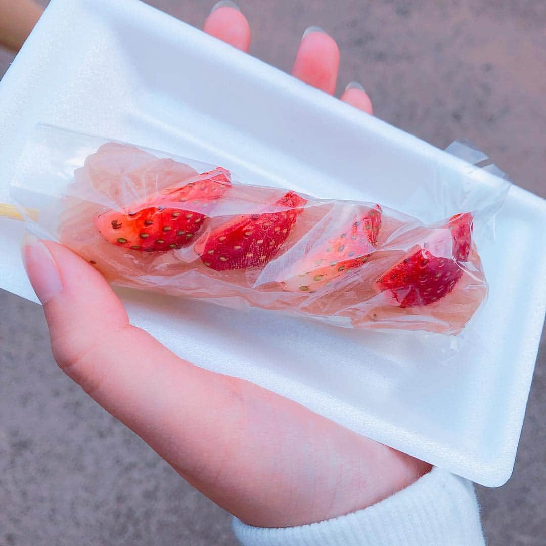 あやなんさんのインスタグラム写真 - (あやなんInstagram)「鎌倉江ノ島ぶらり旅たのしかった❤️❤️美味しいもの沢山食べたよ〜！！！！#江ノ島#鎌倉」4月18日 18時34分 - ayachan_0619