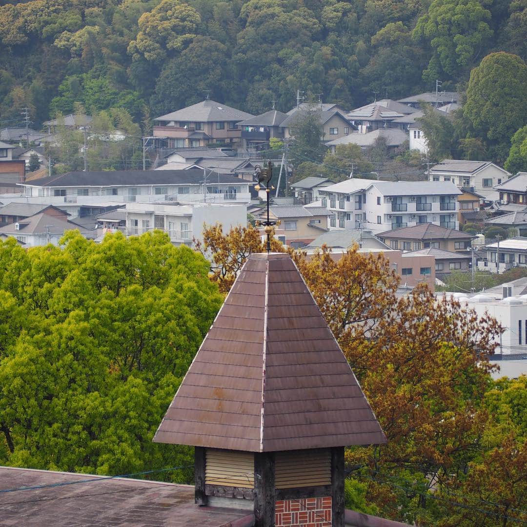 福岡女子短期大学さんのインスタグラム写真 - (福岡女子短期大学Instagram)「@福岡女子短期大学 . 夕方のキャンパス こんにちは、福岡女子短期大学です🎀 先ほど4時限が終わり、福女短生も帰宅🚲しています。 今日も一日お疲れさまでした☘️ . #福岡女子短期大学 #福女短 #夕方 #帰宅中 #下校 #下校時間 #クラスメイト #アオハル #福岡写真部 #太宰府市 #短大生 #福岡の女子短期大学 #トモダチ #ダイスキ #春コーデ #オシャレさんと繋がりたい #スナップ写真 #街角スナップ #4月18日 #階段 #学生コーデ #笑顔 #写真好きな人と繋がりたい #写真撮るのが好きな人と繋がりたい #キャンパス #大学生コーデ  #キャンパスコーデ #福女短スナップ #写真で伝えたい私の世界 #春コーデ . ========[ 資料請求 ]======== ． 新しい福岡女子短期大学の資料請求（2020大学案内）を無料送付中です。本学ホームページからお気軽に申し込みください。 . 子ども学科/健康栄養学科 音楽科/文化教養学科 ． 福岡女子短期大学 住所：‪‪福岡県太宰府市五条四丁目16番1号‬‬ tel：‪‪092-922-4034‬‬（代表） . =========================」4月18日 18時43分 - fukuoka_wjc