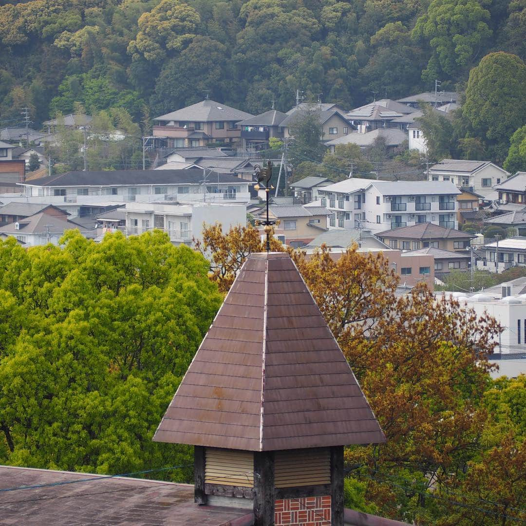 福岡女子短期大学さんのインスタグラム写真 - (福岡女子短期大学Instagram)「@福岡女子短期大学 . 夕方のキャンパス こんにちは、福岡女子短期大学です🎀 先ほど4時限が終わり、福女短生も帰宅🚲しています。 今日も一日お疲れさまでした☘️ . #福岡女子短期大学 #福女短 #夕方 #帰宅中 #下校 #下校時間 #クラスメイト #アオハル #福岡写真部 #太宰府市 #短大生 #福岡の女子短期大学 #トモダチ #ダイスキ #春コーデ #オシャレさんと繋がりたい #スナップ写真 #街角スナップ #4月18日 #階段 #学生コーデ #笑顔 #写真好きな人と繋がりたい #写真撮るのが好きな人と繋がりたい #キャンパス #大学生コーデ  #キャンパスコーデ #福女短スナップ #写真で伝えたい私の世界 #春コーデ . ========[ 資料請求 ]======== ． 新しい福岡女子短期大学の資料請求（2020大学案内）を無料送付中です。本学ホームページからお気軽に申し込みください。 . 子ども学科/健康栄養学科 音楽科/文化教養学科 ． 福岡女子短期大学 住所：‪‪福岡県太宰府市五条四丁目16番1号‬‬ tel：‪‪092-922-4034‬‬（代表） . =========================」4月18日 18時43分 - fukuoka_wjc