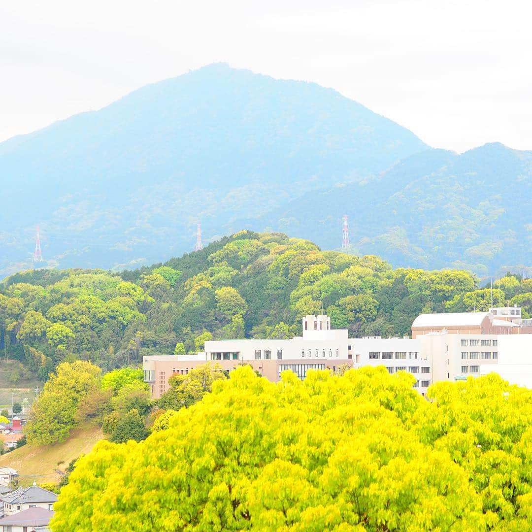 福岡女子短期大学さんのインスタグラム写真 - (福岡女子短期大学Instagram)「@福岡女子短期大学 . 夕方のキャンパス こんにちは、福岡女子短期大学です🎀 先ほど4時限が終わり、福女短生も帰宅🚲しています。 今日も一日お疲れさまでした☘️ . #福岡女子短期大学 #福女短 #夕方 #帰宅中 #下校 #下校時間 #クラスメイト #アオハル #福岡写真部 #太宰府市 #短大生 #福岡の女子短期大学 #トモダチ #ダイスキ #春コーデ #オシャレさんと繋がりたい #スナップ写真 #街角スナップ #4月18日 #階段 #学生コーデ #笑顔 #写真好きな人と繋がりたい #写真撮るのが好きな人と繋がりたい #キャンパス #大学生コーデ  #キャンパスコーデ #福女短スナップ #写真で伝えたい私の世界 #春コーデ . ========[ 資料請求 ]======== ． 新しい福岡女子短期大学の資料請求（2020大学案内）を無料送付中です。本学ホームページからお気軽に申し込みください。 . 子ども学科/健康栄養学科 音楽科/文化教養学科 ． 福岡女子短期大学 住所：‪‪福岡県太宰府市五条四丁目16番1号‬‬ tel：‪‪092-922-4034‬‬（代表） . =========================」4月18日 18時43分 - fukuoka_wjc