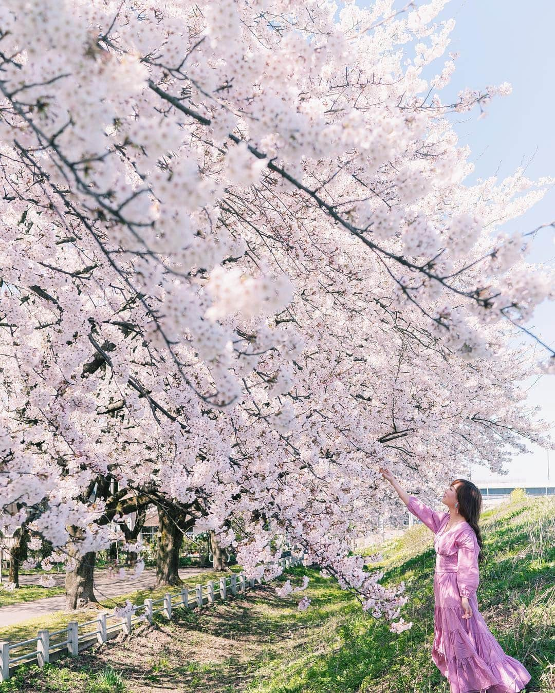 TAKI Modさんのインスタグラム写真 - (TAKI ModInstagram)「. . Touch🌸 . . 暖かくなって来たのはイイんだけど、カメムシが大量発生して来てますw😂💦 . . 【location : Niigata , Japan 】 . . 🔴Team_JP🔹Challenge🔴. テーマ : 🌸春色🌸. . 🔹期間 : 今日の22:00までですよー🙌🔹 . . 🔸タグ : #team_jp_春色2019 🔸. . . 過去の写真へのタグ付け→NG🙅‍♂️」4月18日 18時55分 - taki_318