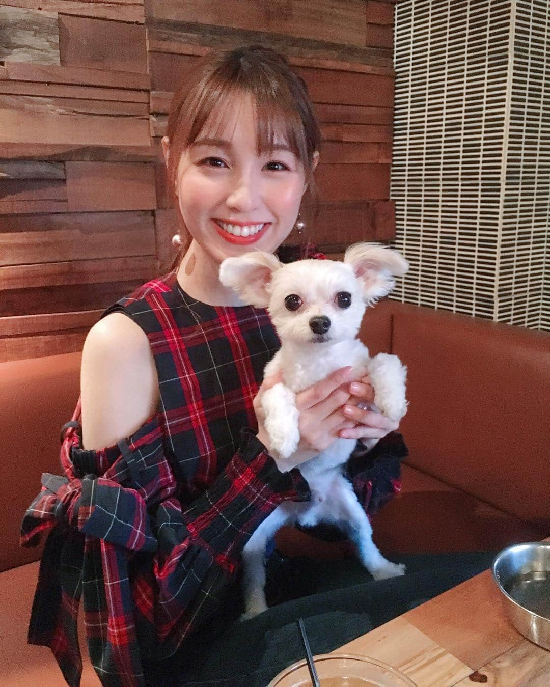 松中みなみさんのインスタグラム写真 - (松中みなみInstagram)「癒された…🐶✨🍀🐶✨🍀 ・ ・ #チャロ #愛犬 #寮犬  #9歳になりました #早いなぁ 💭 #🎂」4月18日 18時59分 - minami_matsunaka