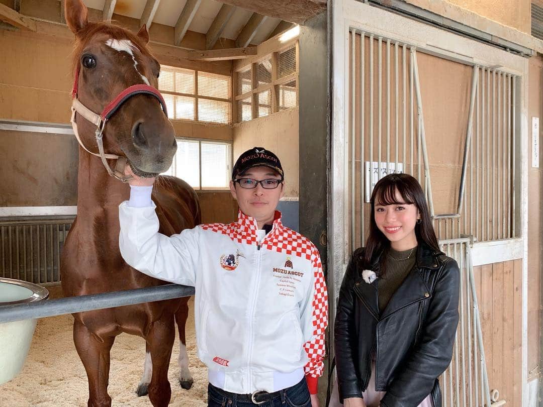 國嶋絢香のインスタグラム：「昨日は、モズアスコット君と玉井さんに久しぶりにお会いすることができました😊💞 初の海外遠征後、安田記念連覇🎖に向けての今年緒戦🏇✨ どんな走りを見せてくれるんでしょうか🎶 この後23時~「トレセンまるごと情報局」よろしくです💕 . アスコット君、栗毛色のまつ毛がとっても可愛いんですよ😍 . #なんと今回で5度目の取材 #何度も取材させて頂いてる一頭です  #たぶん1位はダンビュライトの7回 #その次はキセキかな  #今度ちゃんと数えてみます  #トレまるお楽しみに」