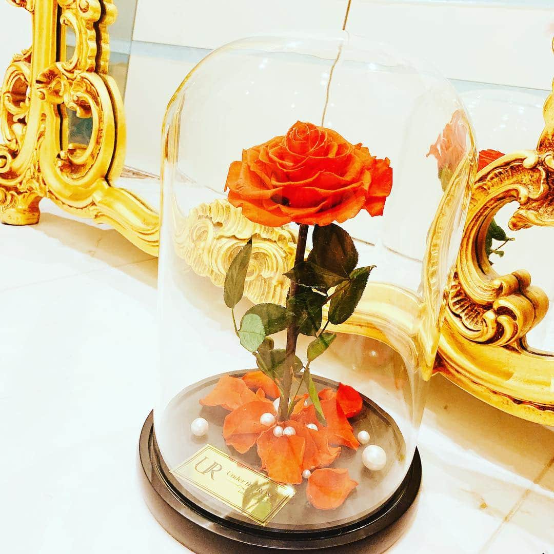 森下悠里さんのインスタグラム写真 - (森下悠里Instagram)「魔法の一輪の薔薇が我が家に🌹💎✨✨✨ - 美しい魅惑の薔薇にうっとり🌹🌹 願い事が叶いそうな予感💎✨ - こちらの薔薇🌹興味のある方はプロモーションコード YUURIM10OFFを入力していただければ自動で10%OFFになります💓 - @undertherose.tyo #rose #beautyandthebeast #luxury #luxurylifestyle」4月18日 19時04分 - yuurimorishita