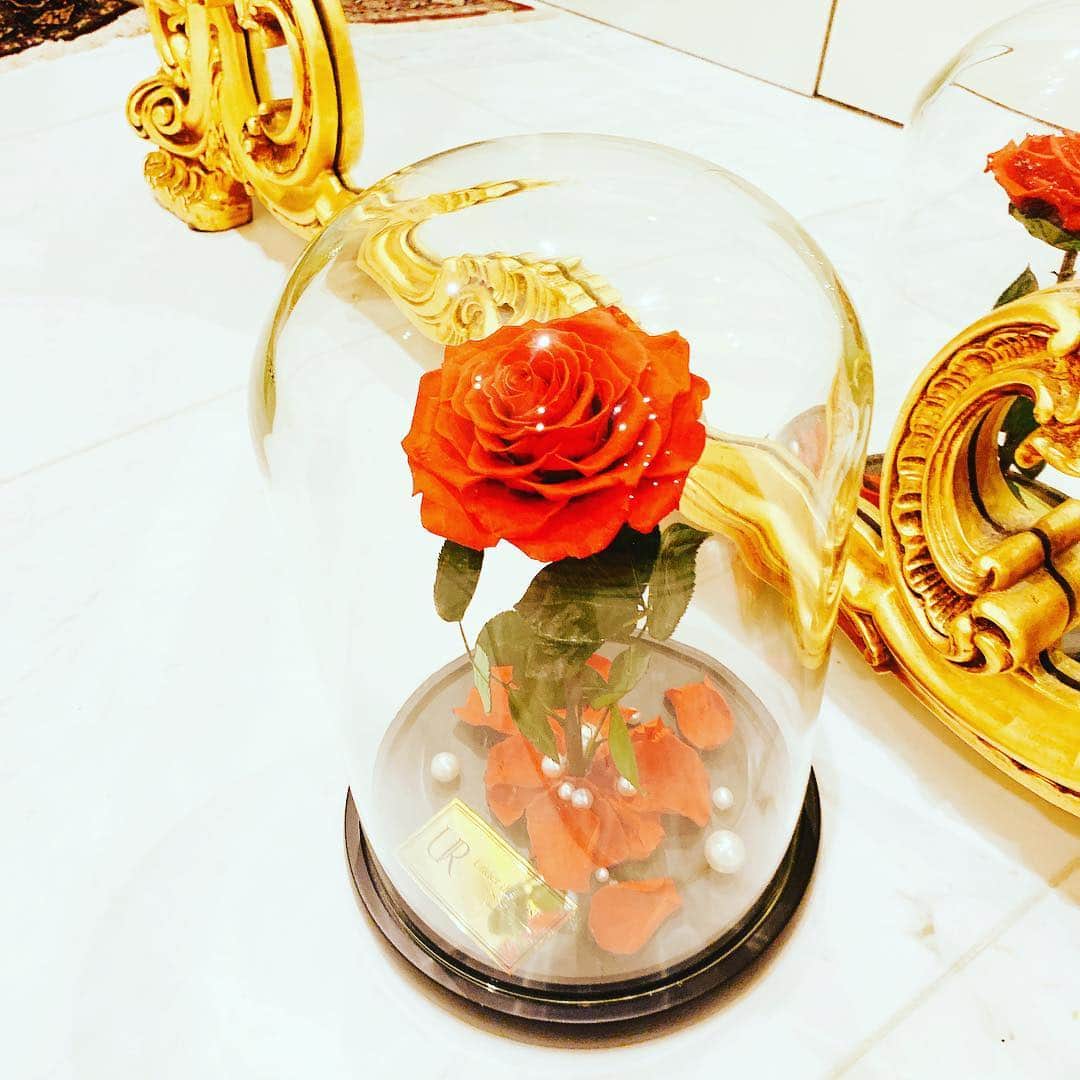 森下悠里さんのインスタグラム写真 - (森下悠里Instagram)「魔法の一輪の薔薇が我が家に🌹💎✨✨✨ - 美しい魅惑の薔薇にうっとり🌹🌹 願い事が叶いそうな予感💎✨ - こちらの薔薇🌹興味のある方はプロモーションコード YUURIM10OFFを入力していただければ自動で10%OFFになります💓 - @undertherose.tyo #rose #beautyandthebeast #luxury #luxurylifestyle」4月18日 19時04分 - yuurimorishita