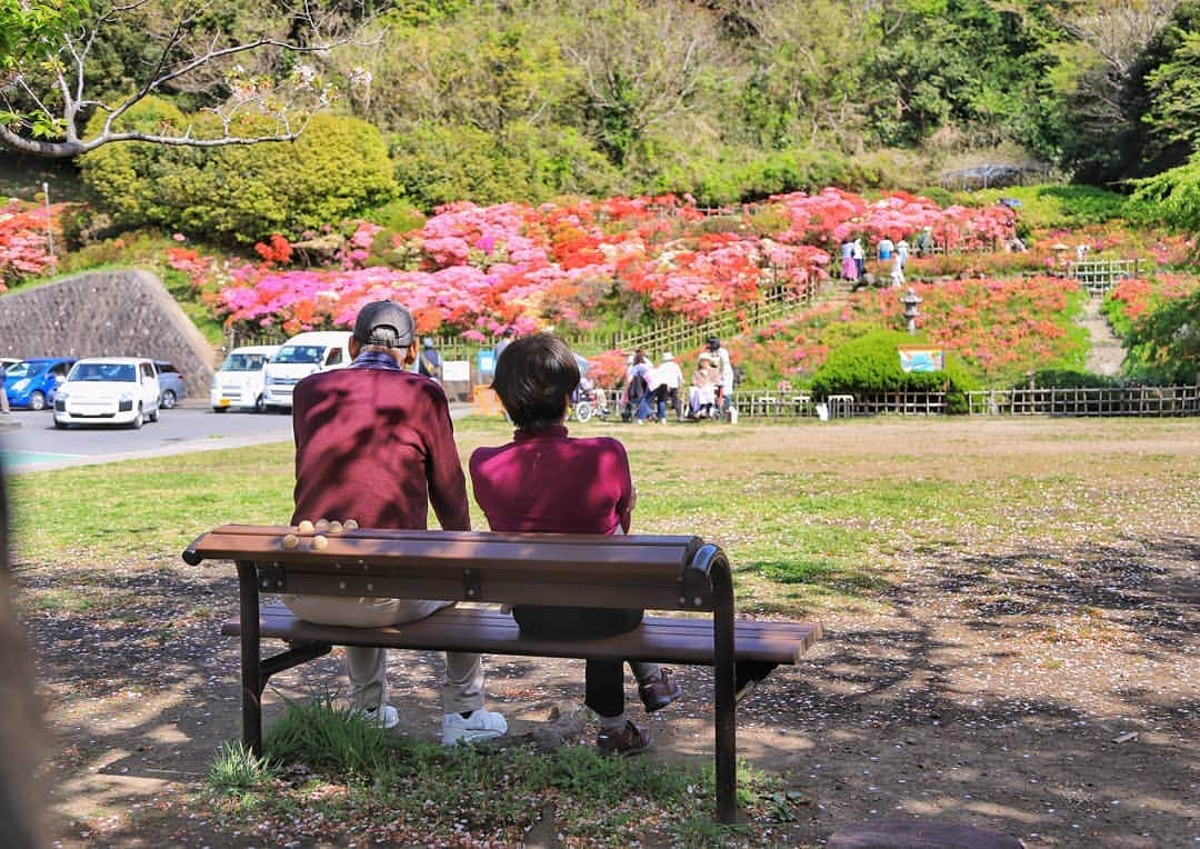 葉山町のインスタグラム