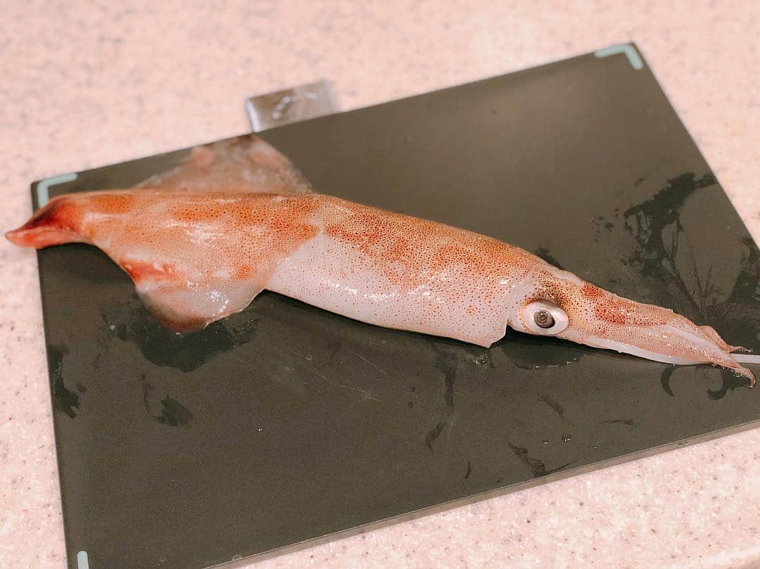 英玲奈さんのインスタグラム写真 - (英玲奈Instagram)「何を作っているでしょーか？ #料理 #クイズ #烏賊 #釣りのお裾分け #からだにやさしいごはん  #オーガニックライフ #おうちごはん」4月18日 19時26分 - erena_erenyan