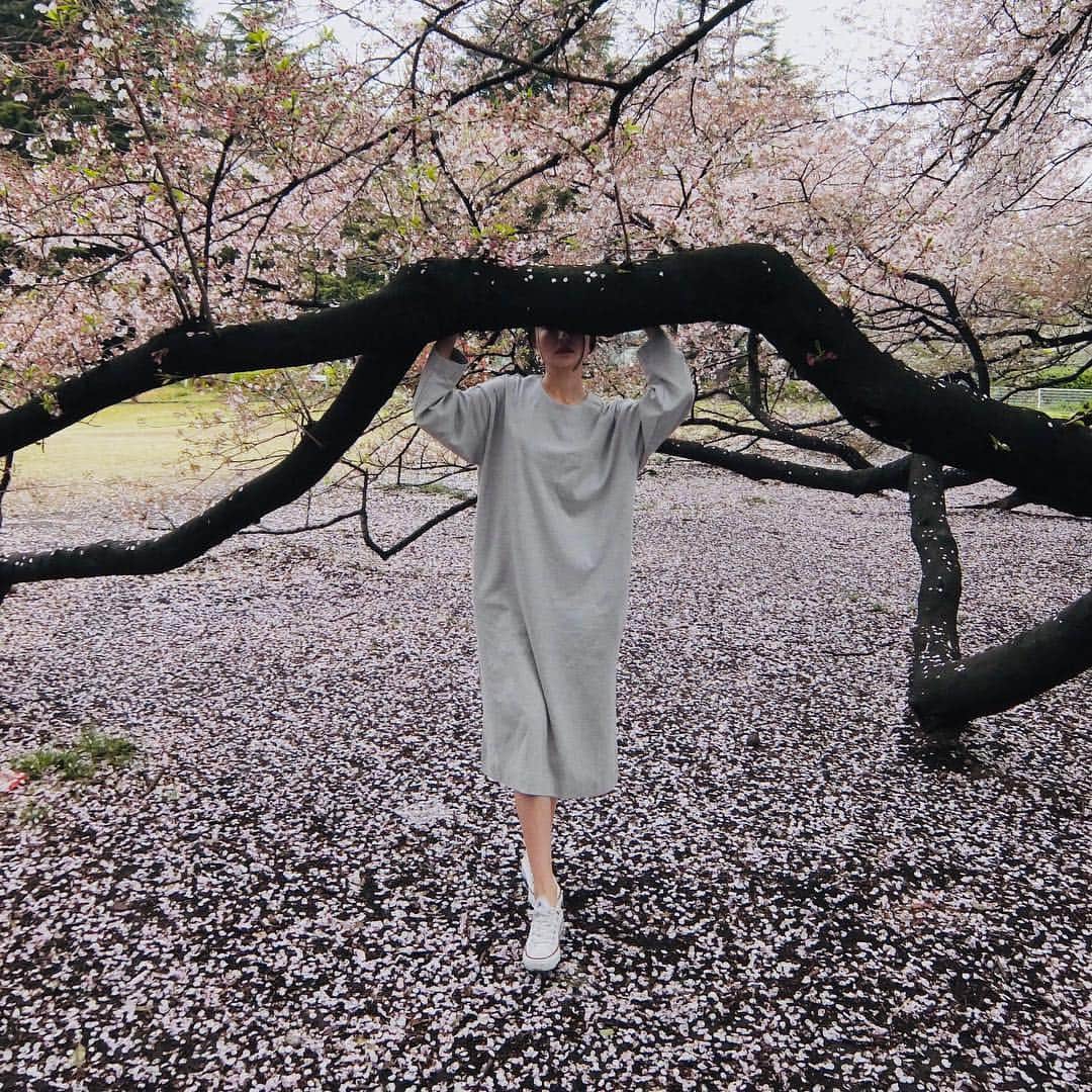 bodcoさんのインスタグラム写真 - (bodcoInstagram)「Sakura season, when in the space of a week or two the beloved cherry blossoms reach full bloom and fall to the ground in showers of delicate pink snowflakes. #ボッコ #sakurafubuki #ダブルガーゼ」4月18日 19時26分 - bodco_official