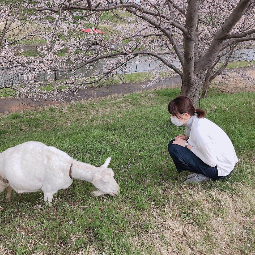 今井美穂のインスタグラム