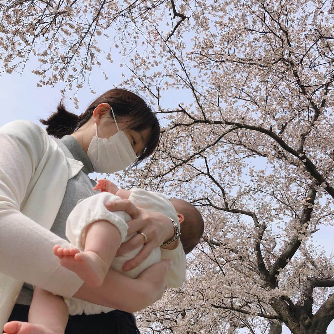 今井美穂さんのインスタグラム写真 - (今井美穂Instagram)「お花見してたらまさかのヤギさん😍﻿ 可愛すぎる💕﻿ ﻿ あんまり時間なかったので、﻿ お弁当じゃなくて﻿ おやつを作っていきました🌸﻿ ﻿ #お花見﻿ #ヤギ放牧中﻿ #おやつタイム﻿ #りんごと紅茶のパウンドケーキ﻿ #簡単美味しいので手作りリピート﻿ ﻿」4月18日 19時40分 - imaimiho1209