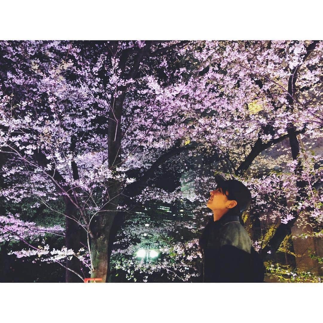 石川恋さんのインスタグラム写真 - (石川恋Instagram)「SAKURA🌸🌸🌸 すっかり春ですね🐰今年はいろいろな場所で綺麗な桜を見られました。満開の桜を見ると日本に生まれてきてよかったな〜〜ってしみじみ思うよね。また来年☺️💐#桜 #夜桜 #cherryblossom」4月18日 19時42分 - ren_ishikawa