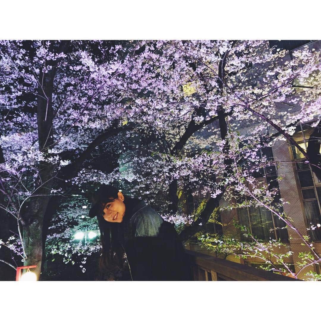 石川恋さんのインスタグラム写真 - (石川恋Instagram)「SAKURA🌸🌸🌸 すっかり春ですね🐰今年はいろいろな場所で綺麗な桜を見られました。満開の桜を見ると日本に生まれてきてよかったな〜〜ってしみじみ思うよね。また来年☺️💐#桜 #夜桜 #cherryblossom」4月18日 19時42分 - ren_ishikawa