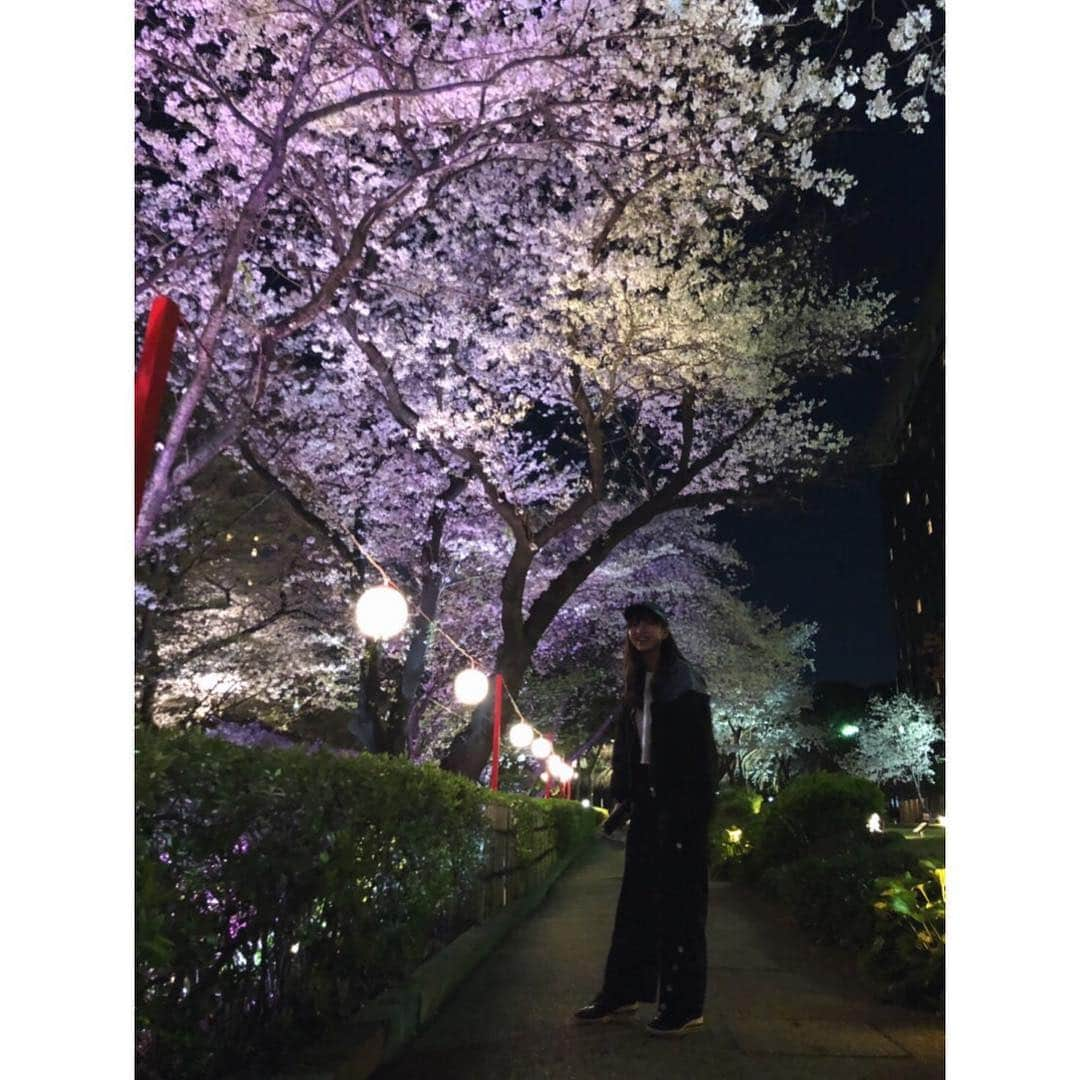 石川恋さんのインスタグラム写真 - (石川恋Instagram)「SAKURA🌸🌸🌸 すっかり春ですね🐰今年はいろいろな場所で綺麗な桜を見られました。満開の桜を見ると日本に生まれてきてよかったな〜〜ってしみじみ思うよね。また来年☺️💐#桜 #夜桜 #cherryblossom」4月18日 19時42分 - ren_ishikawa