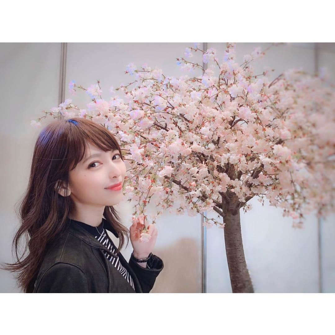 鹿野悠さんのインスタグラム写真 - (鹿野悠Instagram)「🌸💓🌸 やっと予定が合って #ひなフェス に行けました😊💕 幸せすぎる空間だった☺️ お花見出来なかったから、会場内の造花の桜でお花見風🍙笑 @miyapi0329 . . . #ハロプロ #ハロープロジェクト #helloproject #331 #アンジュルムプレミアム #モーニング娘プレミアム #モーニング娘 #モーニング娘19 #morningmusume #morningmusume19 #アンジュルム #angerme  #ジュースジュース #juicejuice #カントリーガールズ #countrygirls #こぶしファクトリー #magnoliafactory #つばきファクトリー #camelliafactory #beyooooonds #ハロプロ研修生 #石田亜佑美 ←推し #コンサート #2連チャン は#さすがにきつかった 笑 #ハロヲタ」4月18日 19時57分 - harukano1204