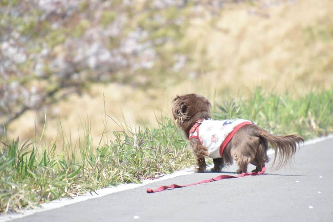 etsukoのインスタグラム