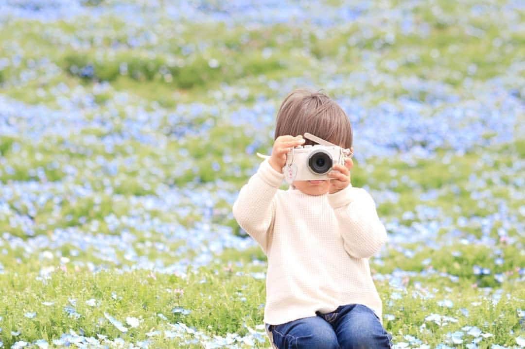 のインスタグラム：「こんばんは😊 現在、「春」をテーマにお写真・動画を募集中です✨ 本日の #タビスルキッズ はこちら💕 📷 @misako.ma.yu.koさん 🚩茨城県・「ひたち海浜公園」 🎙ご本人コメント ぼっちゃんカメラマン この日もパシャパシャ📷 . 撮った写真を念入りにチェック . あーこれダメだ！ぶれたー！ 消しちゃうからねー！ ってぶつぶつ言ってました♬ . その姿が可愛くて(*´`*) カメラ構える姿撮るのも定番化♡ . 今年も行ってきました！！ ひたち海浜公園 ネモフィラ、チューリップ5分咲き 菜の花、水仙は見頃で とっても綺麗で癒されてきました♡ . しばらく続きます、、 ﻿﻿﻿﻿＊＊＊＊＊＊ ｢ぼっちゃんカメラマン｣かわいいですね😆 いつも、ステキなお写真ありがとうございます💕」