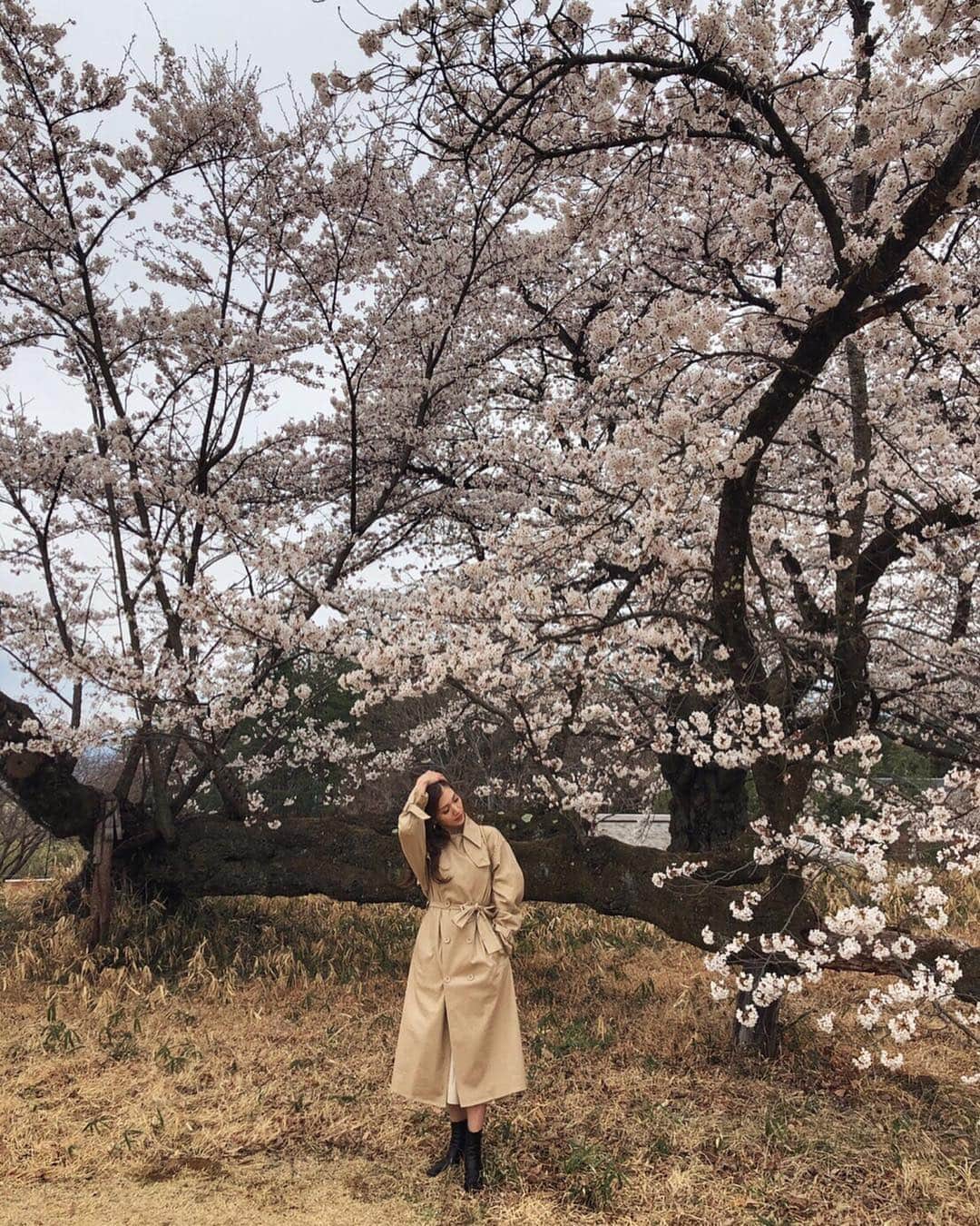 上原歩さんのインスタグラム写真 - (上原歩Instagram)「花びら一枚とっても みずみずしく張りがあって生き生きしてた🌸 入りたかった空間は入れなくて残念だったけどこんな時間はなんだか久しぶり。 自然はいいね🌳 アートと自然に触れてリフレッシュ！ ・ #love #flower #cherryblossom #happy #life #instagood」4月18日 20時05分 - ayumiuehara