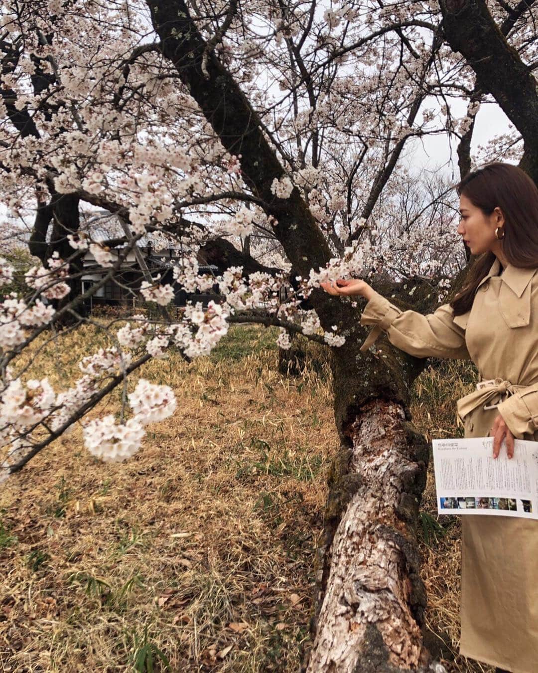 上原歩さんのインスタグラム写真 - (上原歩Instagram)「花びら一枚とっても みずみずしく張りがあって生き生きしてた🌸 入りたかった空間は入れなくて残念だったけどこんな時間はなんだか久しぶり。 自然はいいね🌳 アートと自然に触れてリフレッシュ！ ・ #love #flower #cherryblossom #happy #life #instagood」4月18日 20時05分 - ayumiuehara