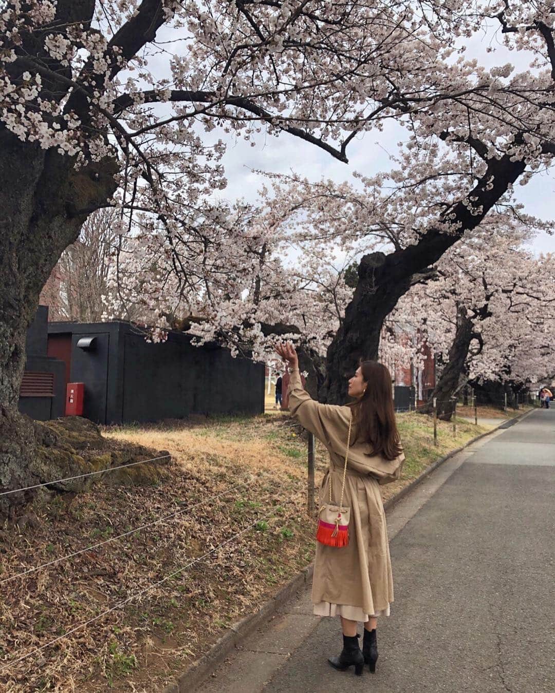 上原歩さんのインスタグラム写真 - (上原歩Instagram)「花びら一枚とっても みずみずしく張りがあって生き生きしてた🌸 入りたかった空間は入れなくて残念だったけどこんな時間はなんだか久しぶり。 自然はいいね🌳 アートと自然に触れてリフレッシュ！ ・ #love #flower #cherryblossom #happy #life #instagood」4月18日 20時05分 - ayumiuehara