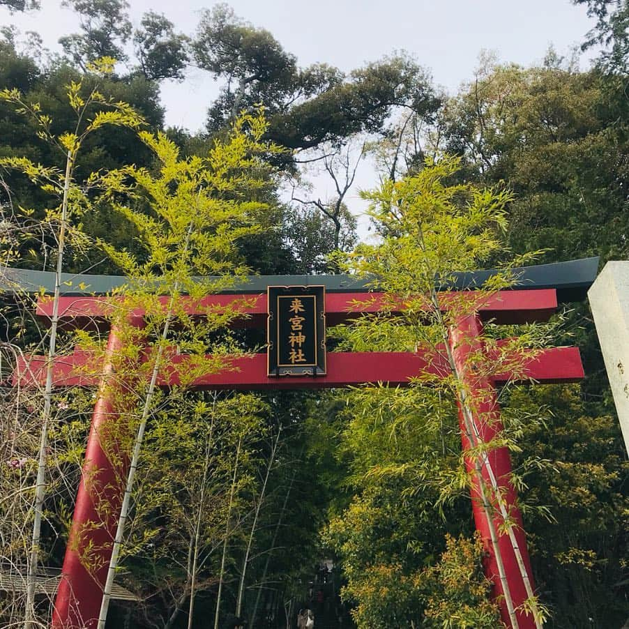 青山愛菜さんのインスタグラム写真 - (青山愛菜Instagram)「#熱海 #来宮神社 #来宮神社パワースポット #wa亭風こみち #熱海プリン」4月18日 20時08分 - ainamnsl