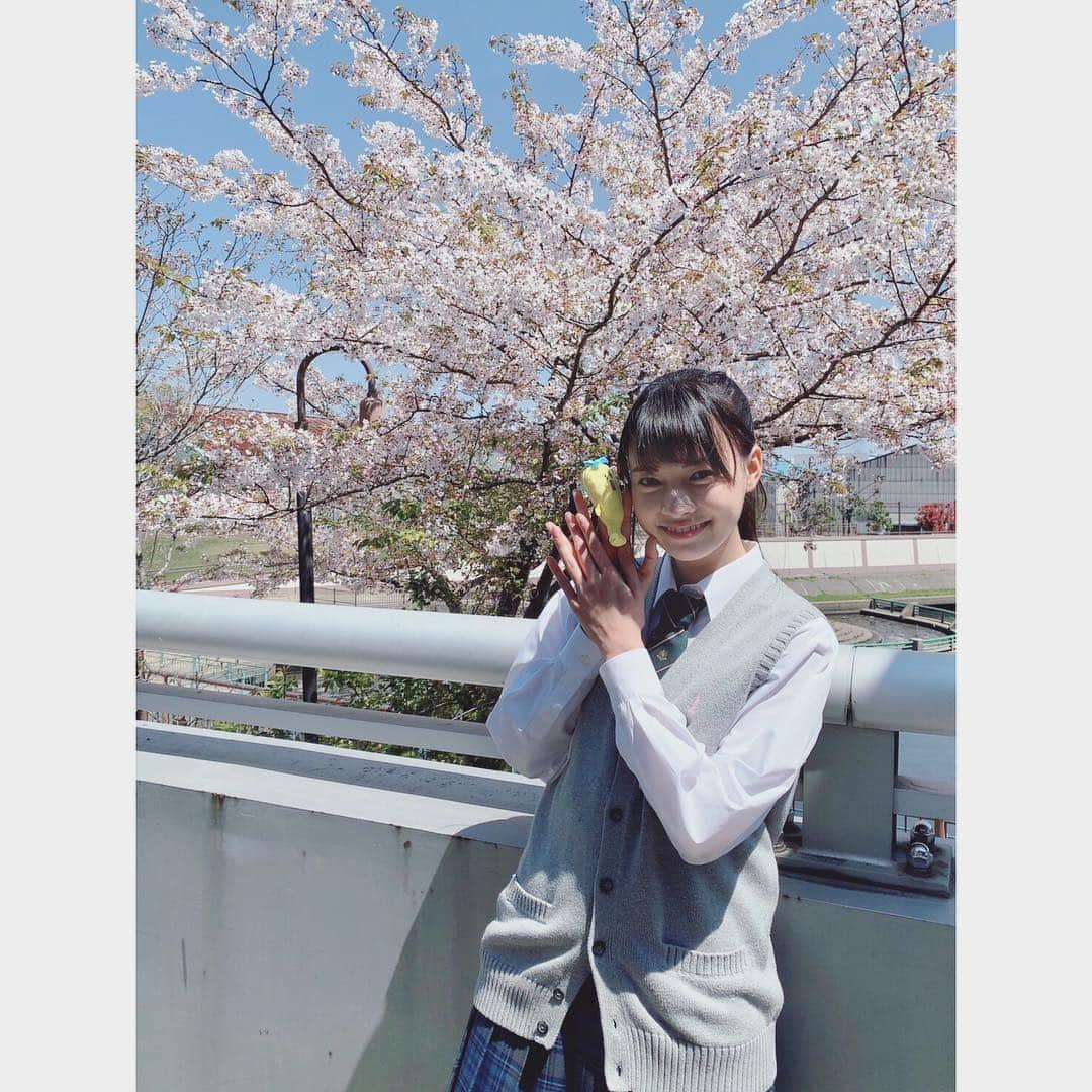 新條由芽さんのインスタグラム写真 - (新條由芽Instagram)「「電影少女 -VIDEO GIRL MAI 2019-」 本日深夜1時から第2話です。 皆様是非ご覧ください！  写真は桜とナナナと！ 今年もちょこちょこ桜を見れたので良かったです🌸  #電影少女 #ナナナ」4月18日 20時18分 - yume_shinjo