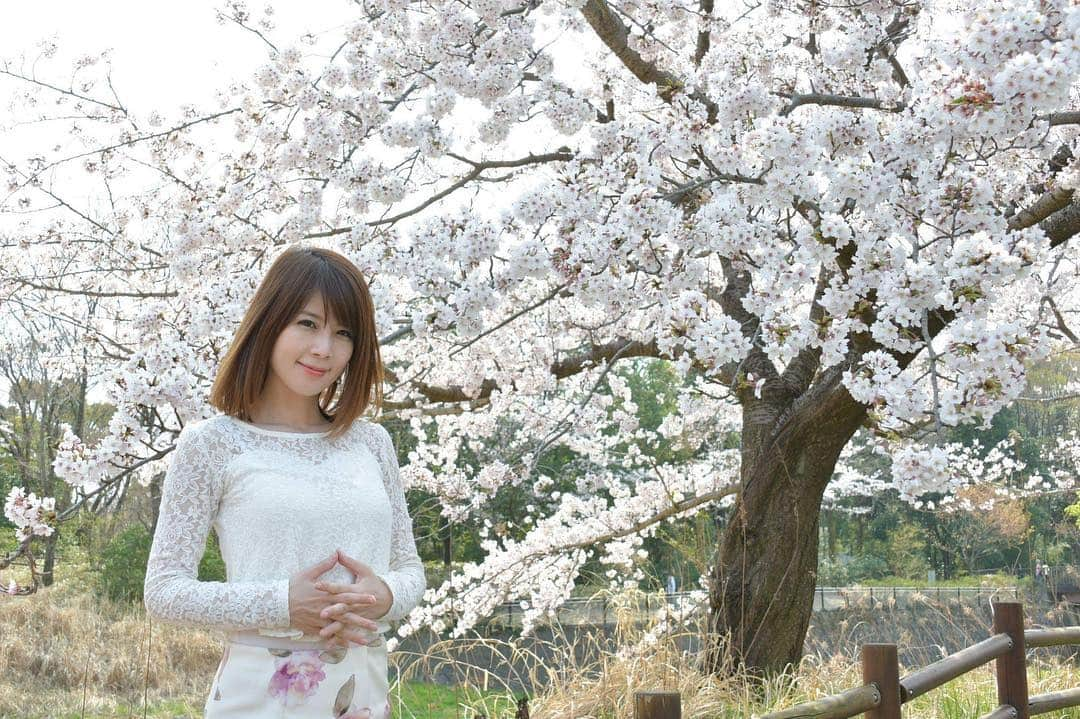 沢木麻衣さんのインスタグラム写真 - (沢木麻衣Instagram)「お花見撮影会🌸 砧公園 #撮影会 #撮影 #写真好きな人と繋がりたい  #写真で伝えたい私の世界  #桜 #満開 #お花見 #写真集  #モデル」4月18日 20時31分 - maikaru720