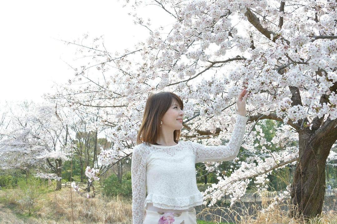 沢木麻衣さんのインスタグラム写真 - (沢木麻衣Instagram)「お花見撮影会🌸 砧公園 #撮影会 #撮影 #写真好きな人と繋がりたい  #写真で伝えたい私の世界  #桜 #満開 #お花見 #写真集  #モデル」4月18日 20時31分 - maikaru720