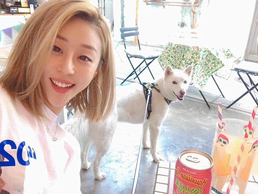 ピパ さんのインスタグラム写真 - (ピパ Instagram)「보리랑 나들이❤️ 걍걍 #애견동반식당 찾아간건데 뭐야 여기 #맛집 이였어🤭 . . #정말넘넘맛있음 #진심 #마포맛집 #인정 #애견동반식당 #애견동반식당맛집 #훌라훌라 #백립  #살이스르륵 #냠냠냠 #봄나들이 #소풍 #보리랑나랑 #실글벙글 #보리왕자님 @bori5525」4月18日 20時35分 - bipa.diva