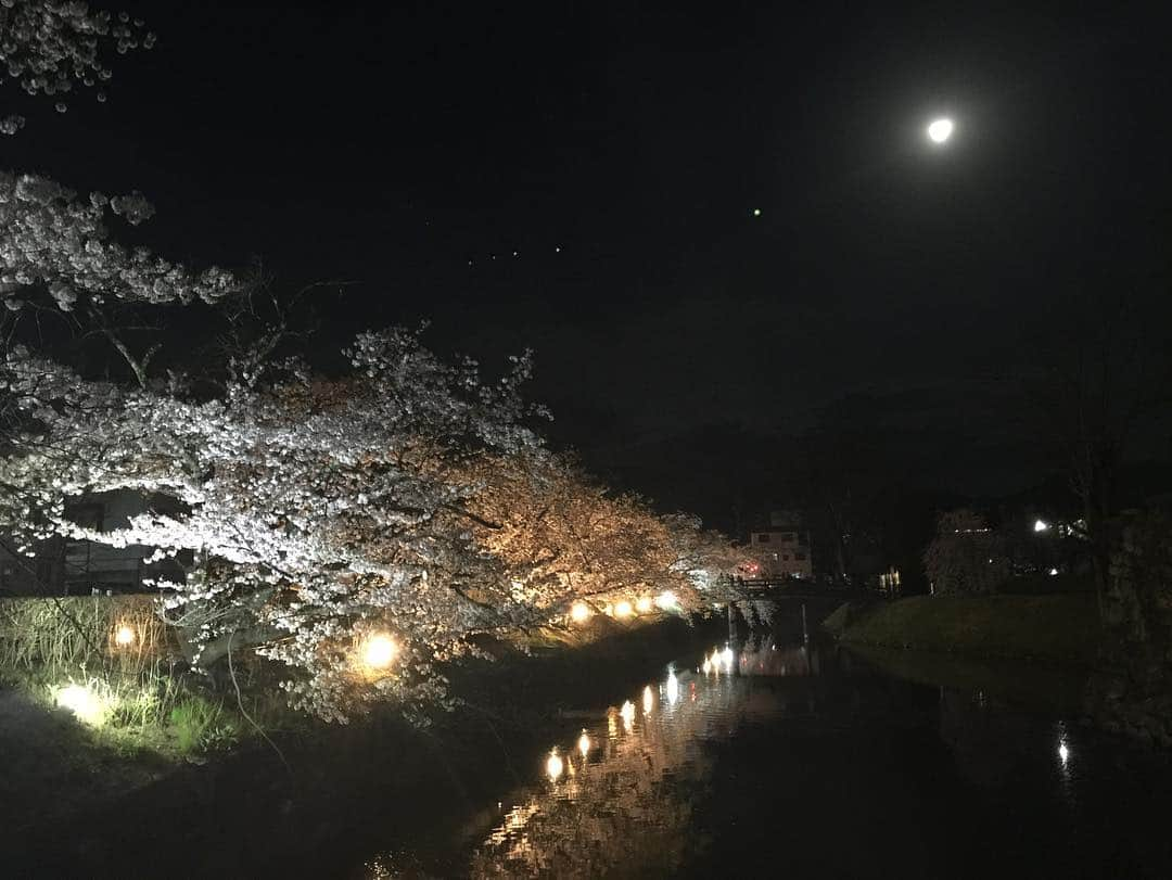 チックンとプーちゃんのふるさと? From Japan??さんのインスタグラム写真 - (チックンとプーちゃんのふるさと? From Japan??Instagram)「今宵はこんな感じ🏯🌸🌕 #松本城#桜#月#夜桜#水鏡#夜景#ライトアップ」4月18日 20時35分 - fivestar.netcafe