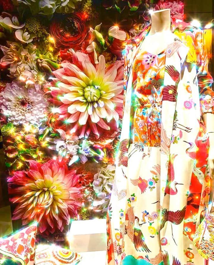 のインスタグラム：「Stunning window display with a mimi Liberté printed silk trench-coat and matching dress melting into the flowers background #michelklein #mimiliberté #rimini #italy」