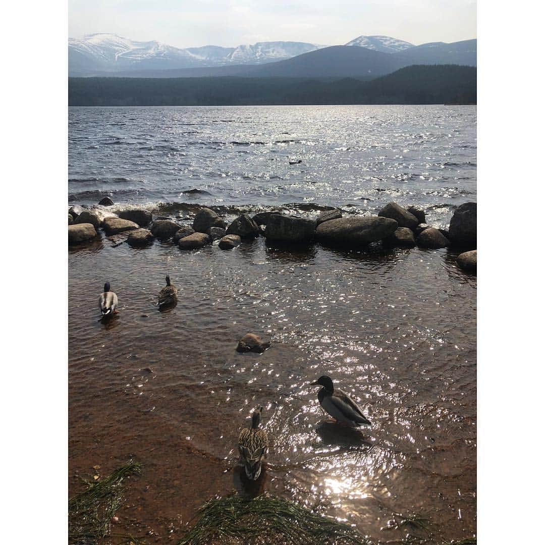 のインスタグラム：「#lochmorlich #glenmorepark #cairngormnationalpark #scotland」